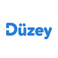 Düzey